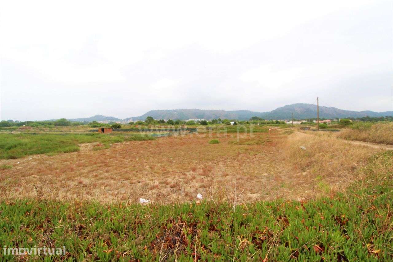 Terreno agrícola, Belinho, Esposende - Grande imagem: 3/4