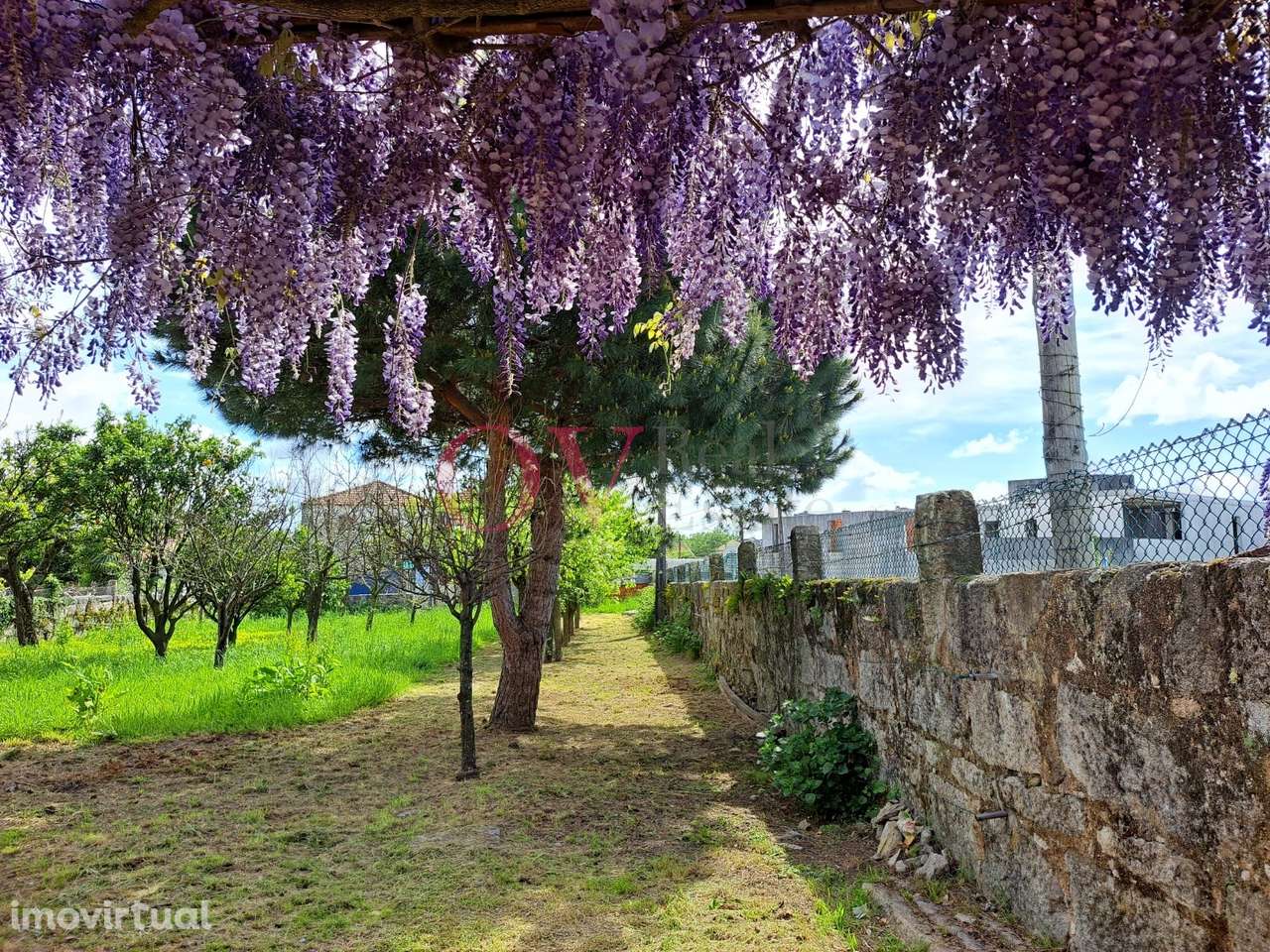 Vende-se Quintinha com moradia T4, a 2 minutos da circunvalação, junto - Grande imagem: 4/28
