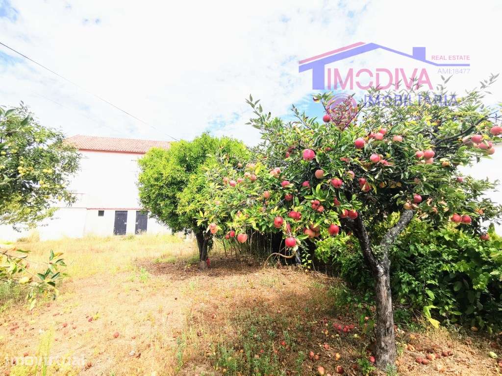 Moradia T3 com garagem, anexos e terreno com agua em Pedrogão Grande - Grande imagem: 4/49