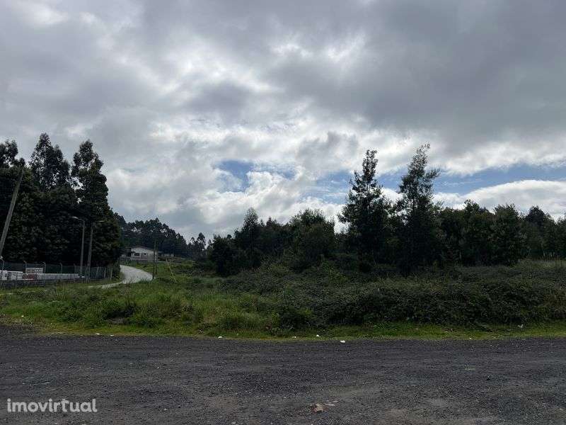 Vendo Terreno para Indústria e Logística - Castêlo da Maia - Grande imagem: 3/7