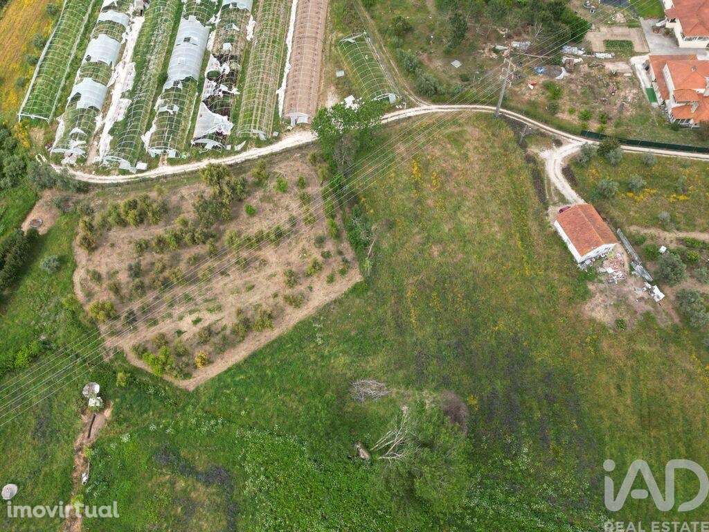 Terreno Agrícola em Porto de Mós - São João Baptista e São Pedro - Grande imagem: 4/4