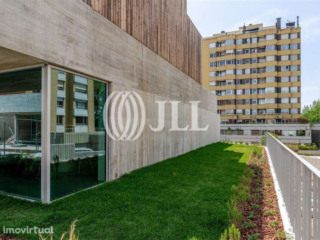 As Camélias - Grande imagem: 3/37