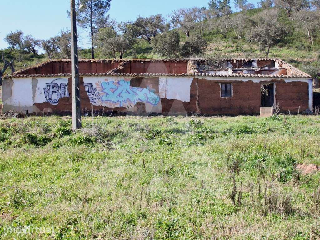 TERRENO 38HA MISTO COM TRES RUINAS EM 24 DIVISOES - Grande imagem: 4/30