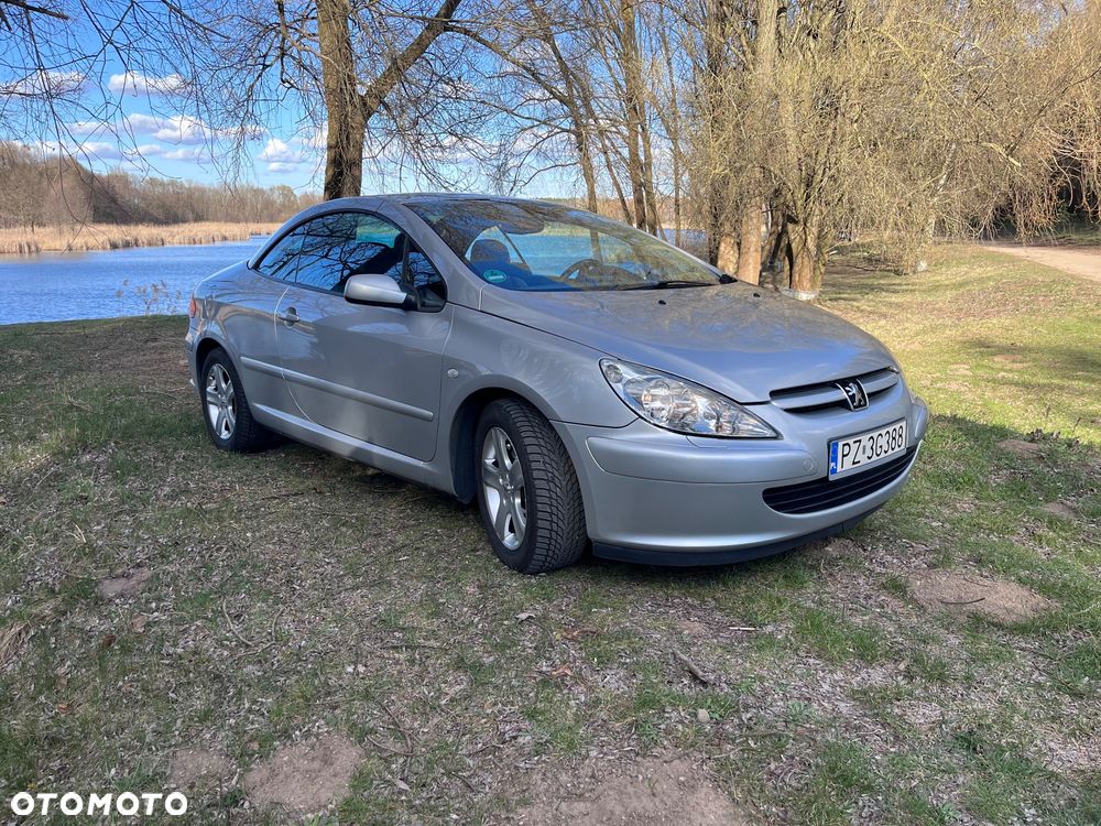 Peugeot 307 CC 135 - 10