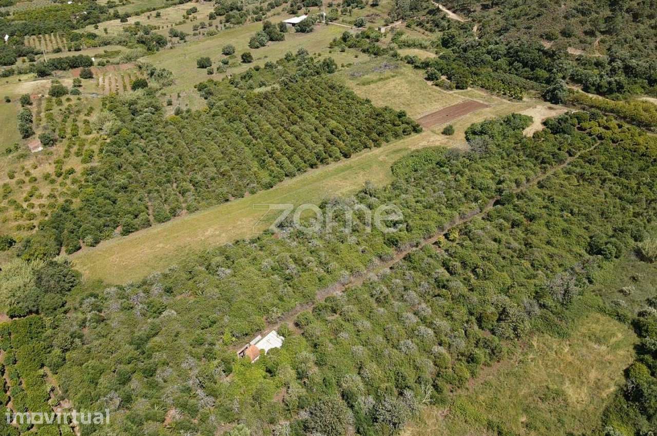 Terreno Rústico em Vilarinho com 2.200m2, Messines - Grande imagem: 5/11