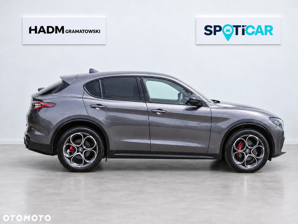 Alfa Romeo Stelvio 2.0 Turbo Veloce Q4 - 8
