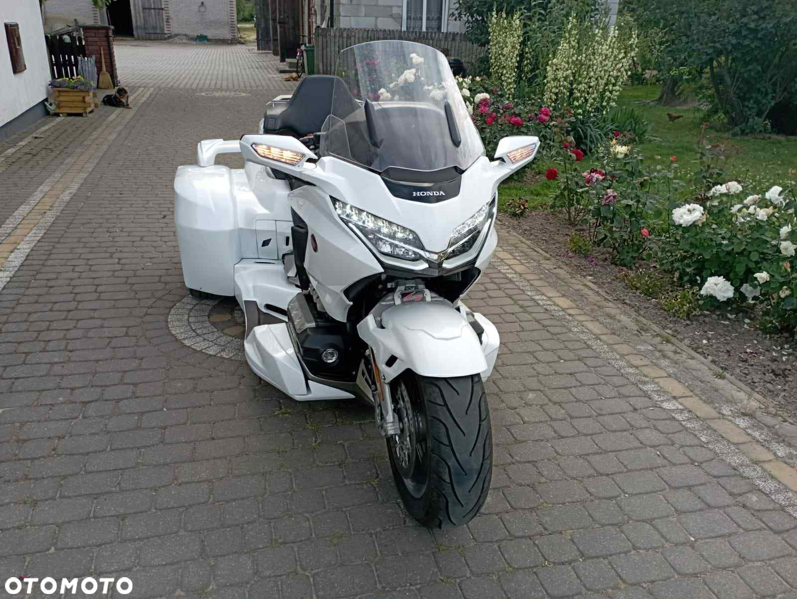 Honda GL - 7