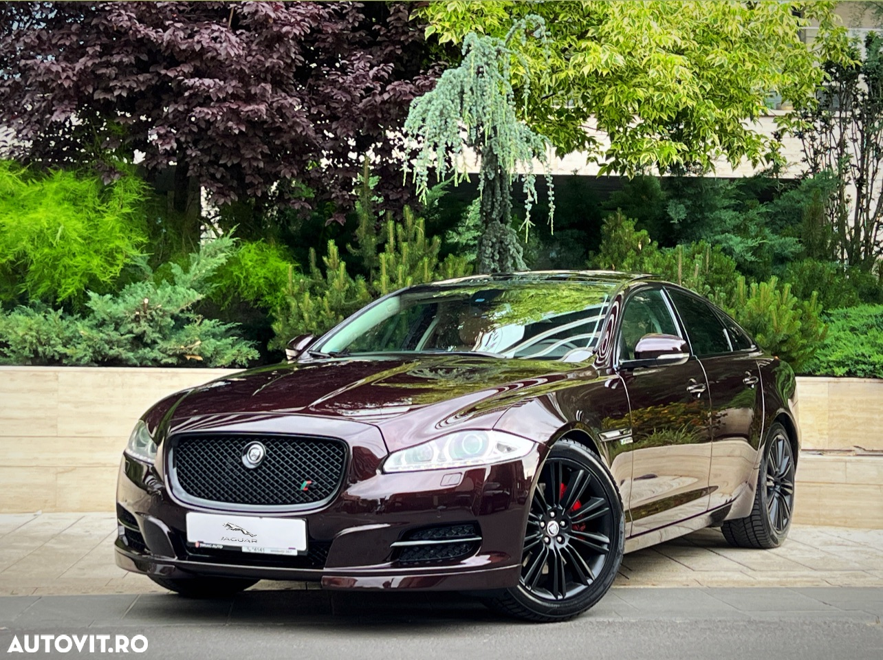Jaguar XJ 3.0 V6 Premium Luxury Aut SWB - 2