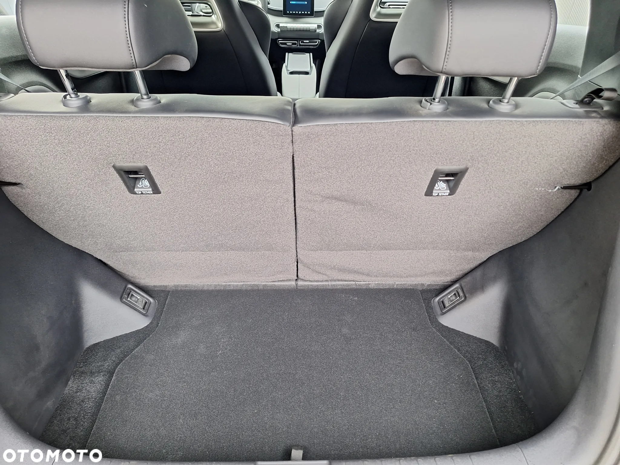 BYD Dolphin Surf - 11