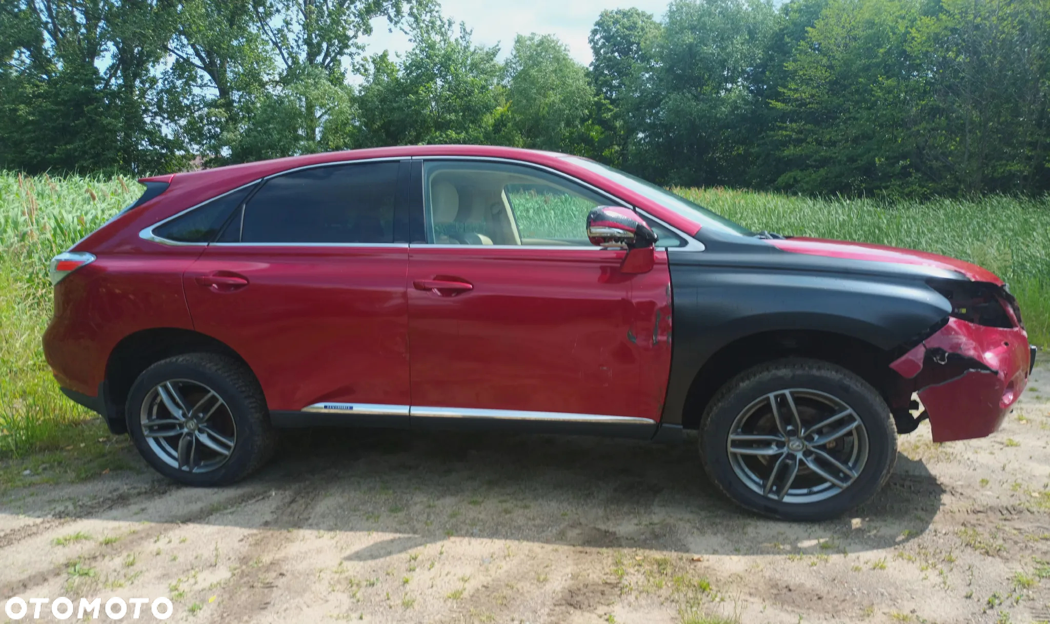 Lexus RX 450h (hybrid) Executive Line - 29