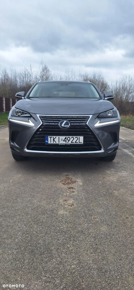 Lexus NX - 31