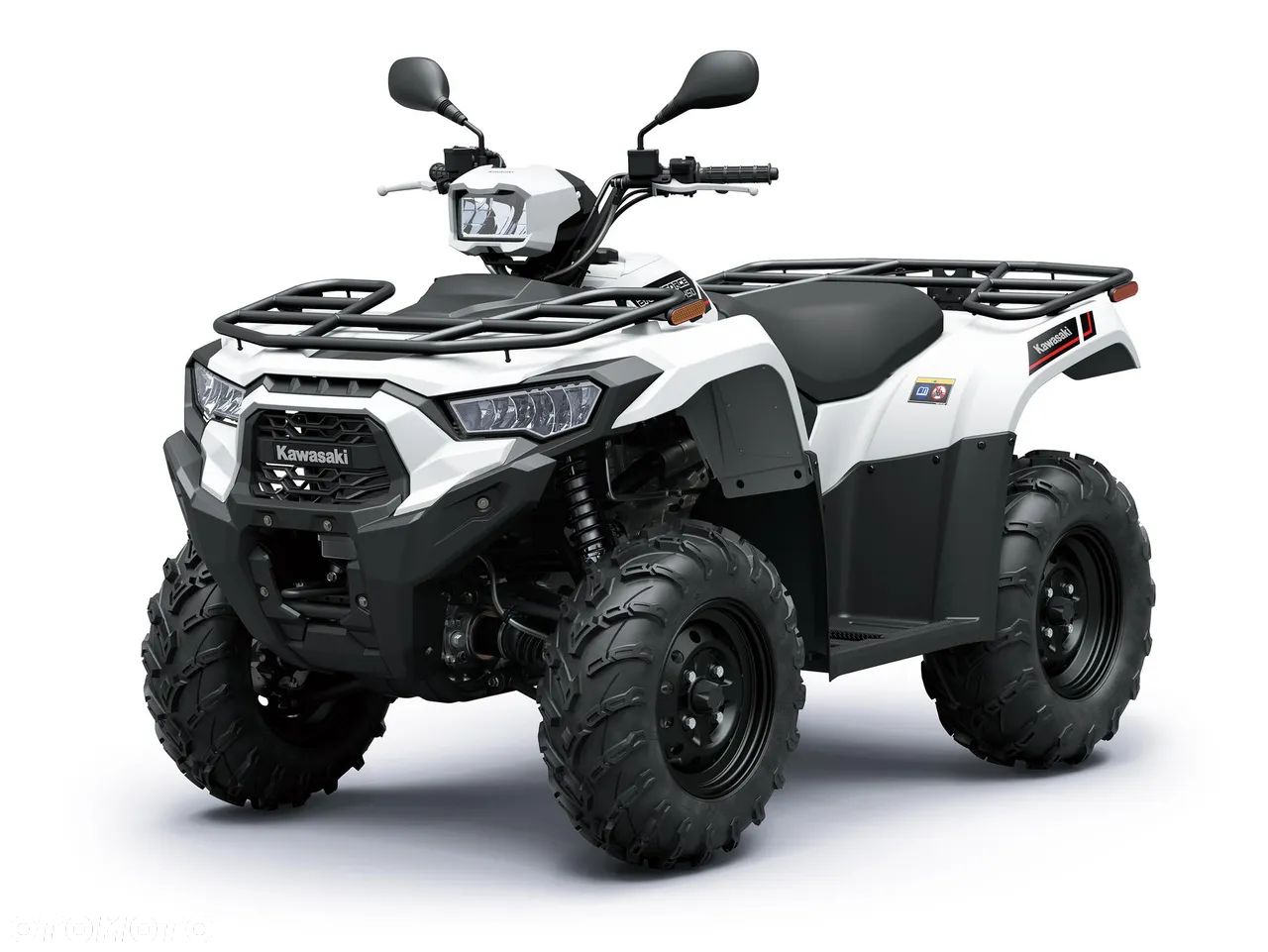 Kawasaki Brute Force
