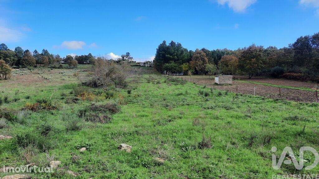 Terreno em Sabugal e Aldeia de Santo António de 5720,00 m2 - Grande imagem: 4/13