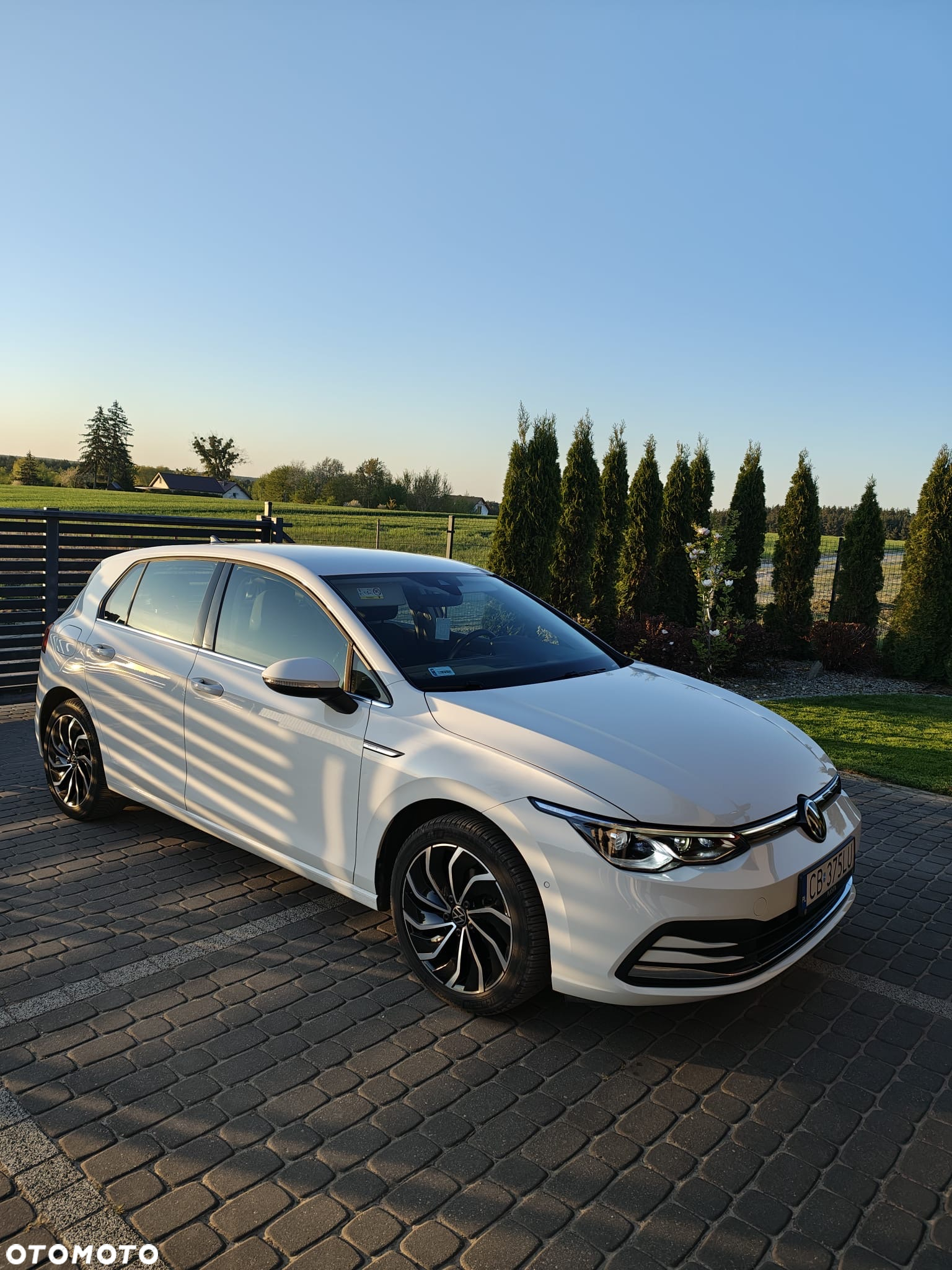 Volkswagen Golf VIII 1.5 eTSI EVO Style DSG - 5