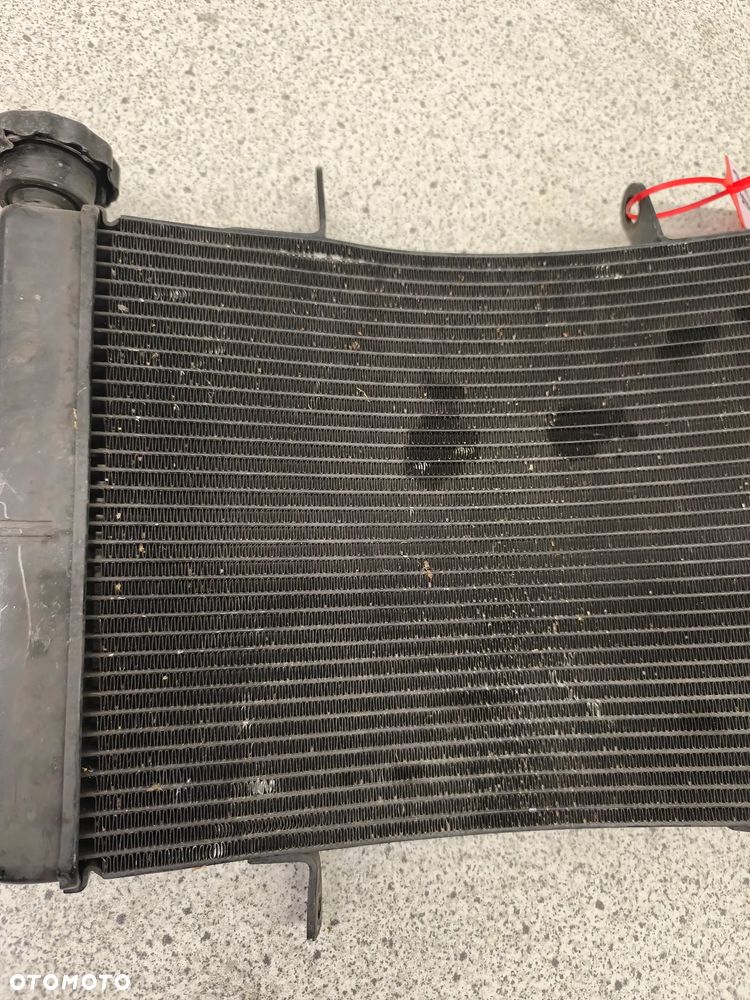 Chłodnica Triumph Street Triple 675 - 3