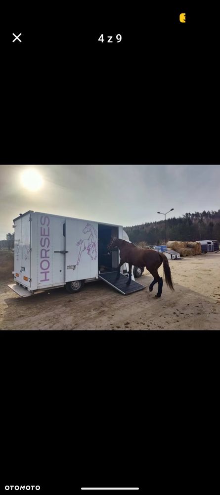 Fiat Ducato Koniowóz Maxi - 4