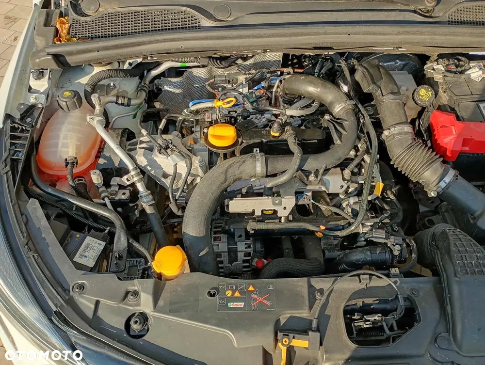 Renault Clio - 8