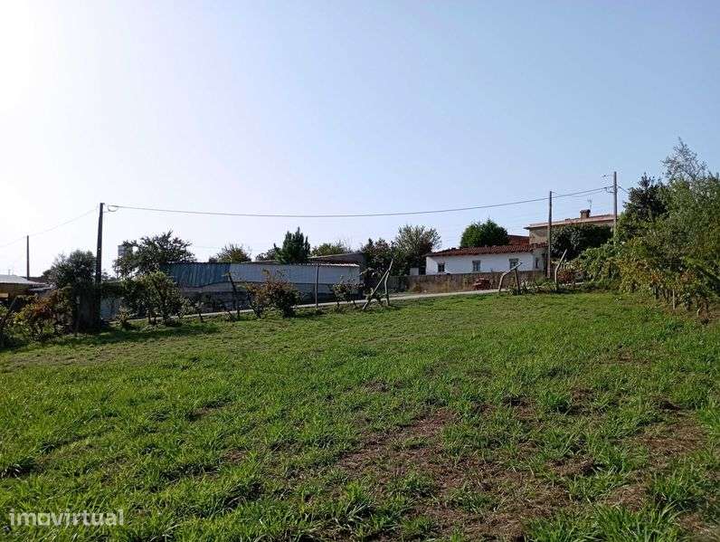 Terreno - Albergaria-a-Velha (Valmaior, Póvoa) - Grande imagem: 4/7