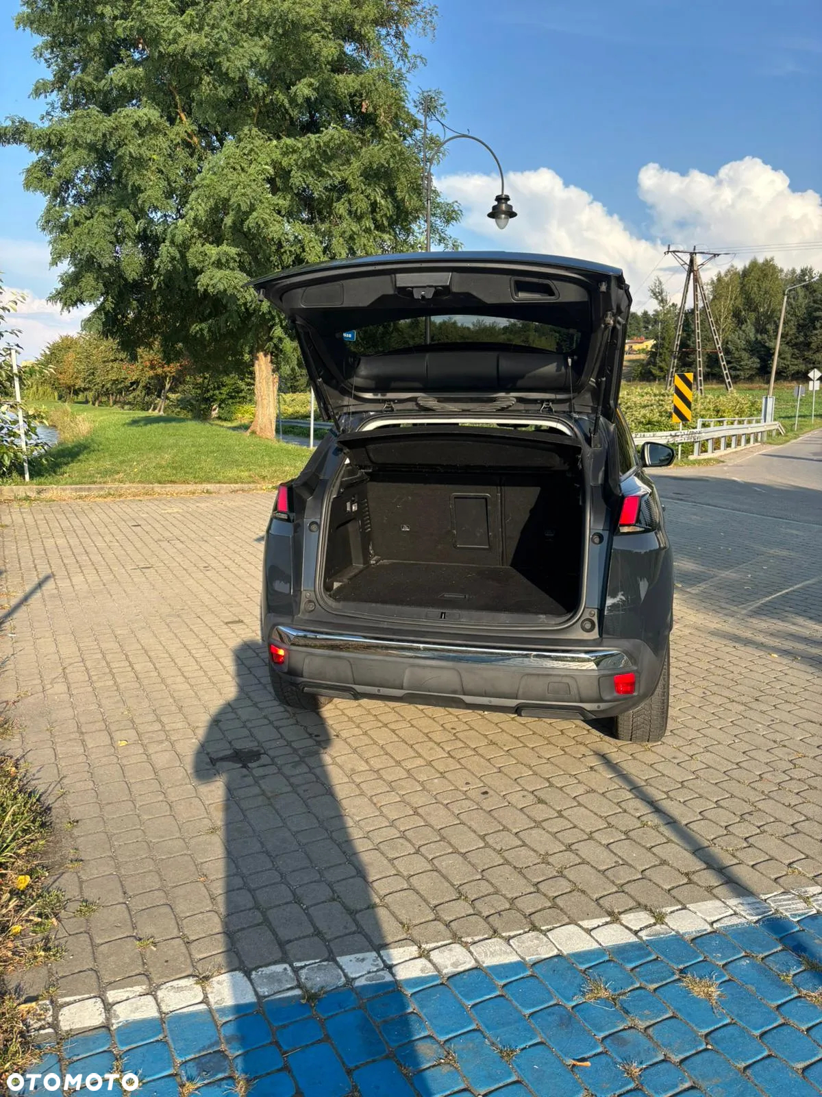 Peugeot 3008 1.6 BlueHDi Active S&S - 8
