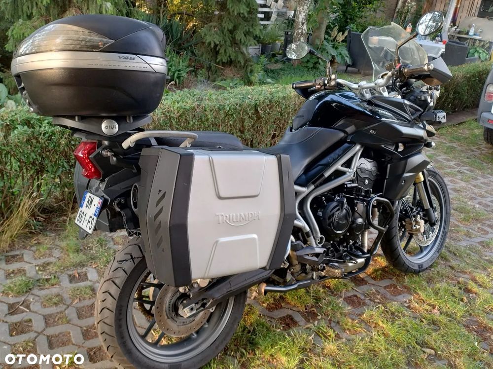 Triumph Tiger - 6