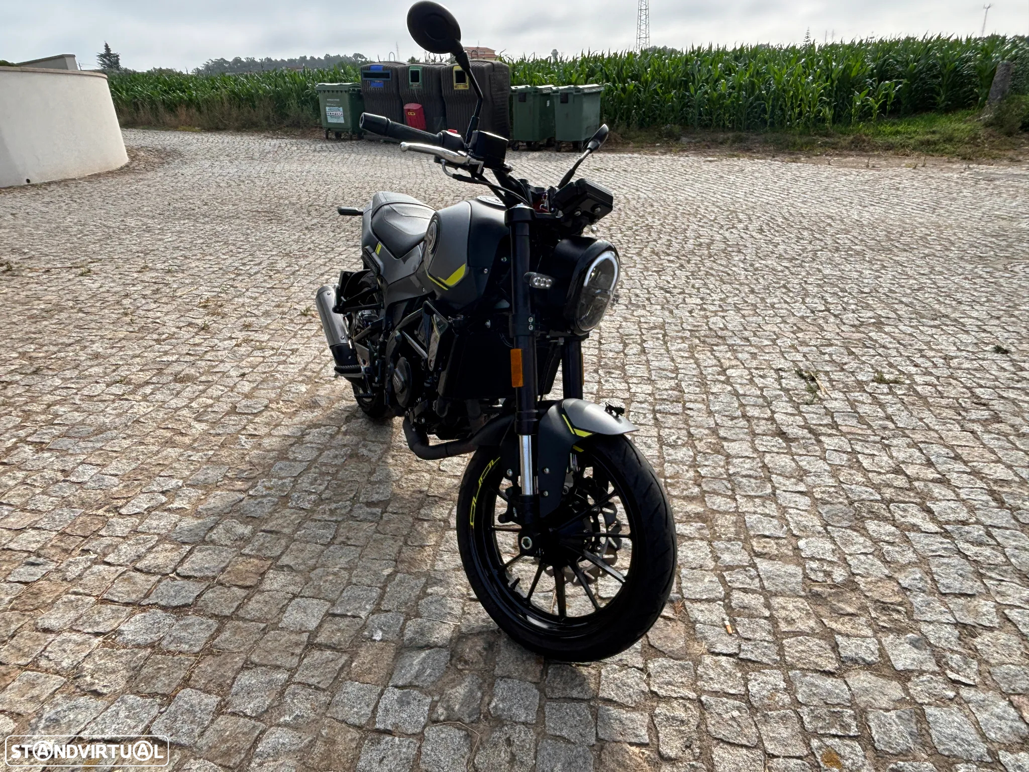Benelli Leoncino - 3