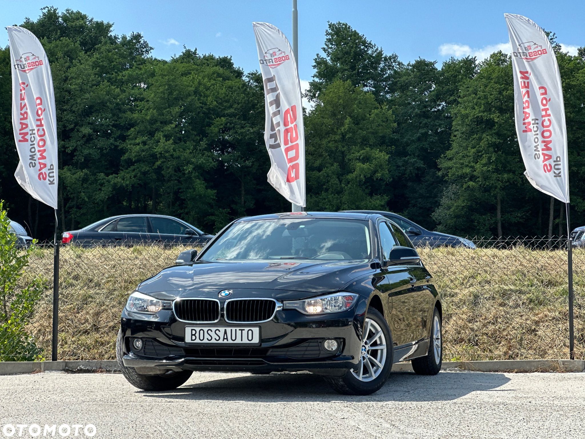 BMW Seria 3 318d - 1