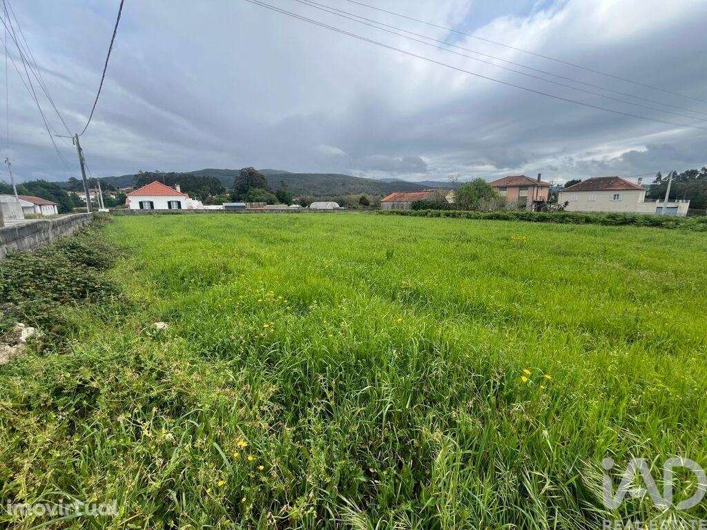 Terreno Agrícola em Barroselas e Carvoeiro - Grande imagem: 3/13