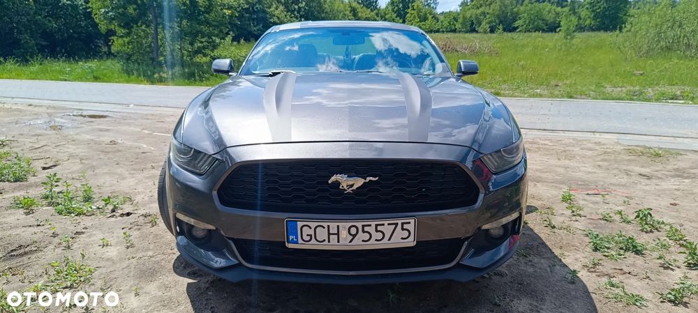 Ford Mustang 2.3 Eco Boost - 6