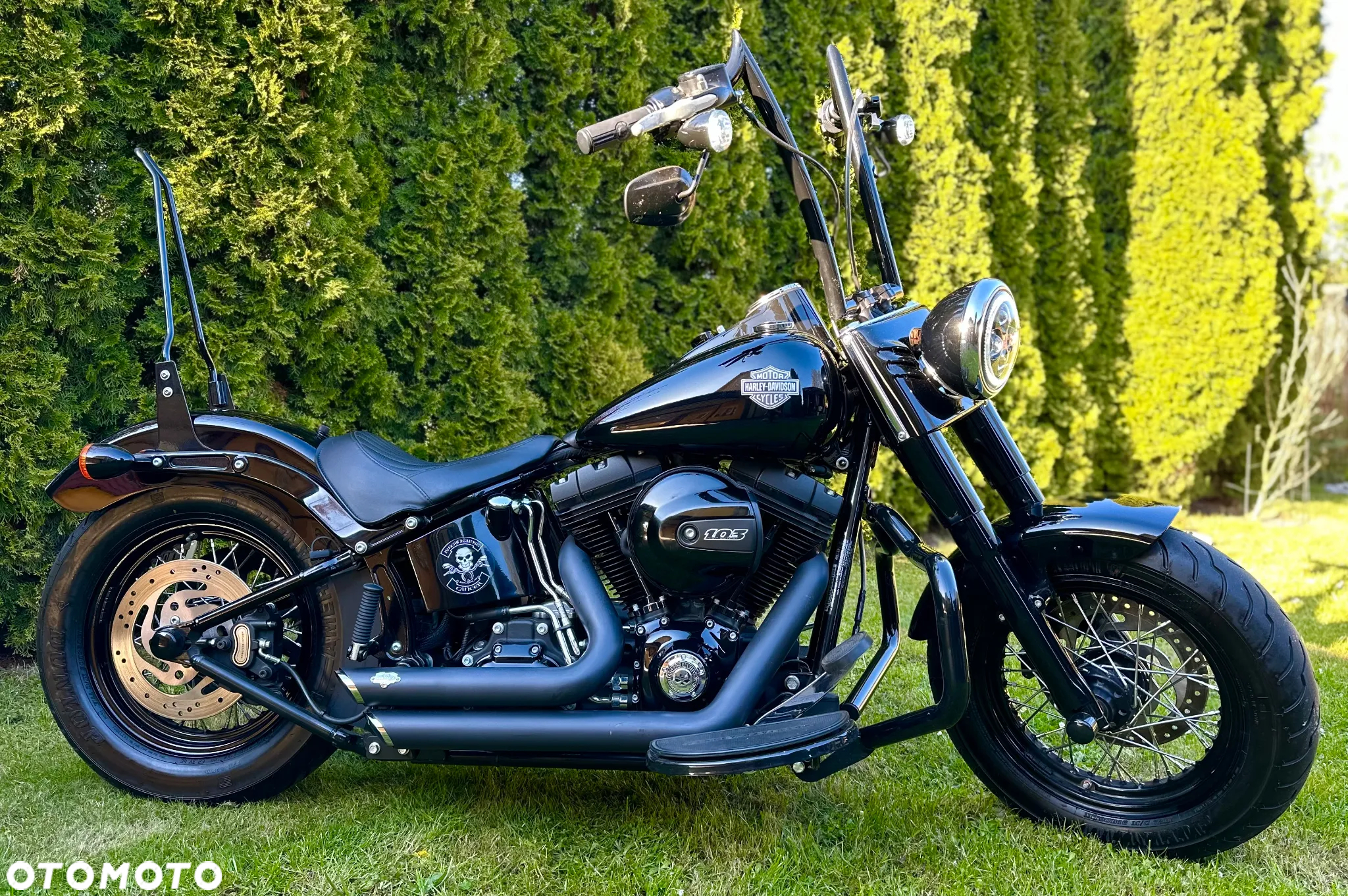 Harley-Davidson Softail Slim - 3