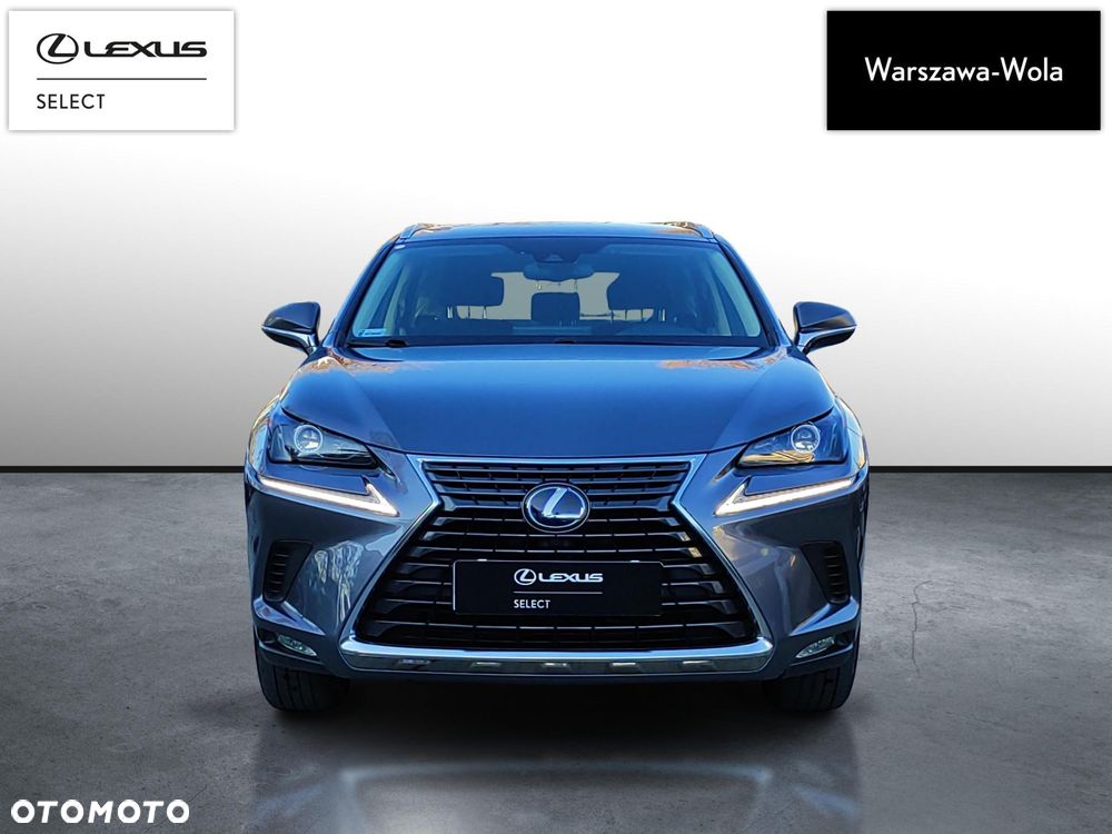 Lexus NX 300h Business Edition AWD - 7