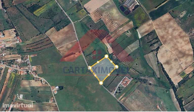Terreno Para Construção  Venda em Almoster,Santarém - Grande imagem: 3/3