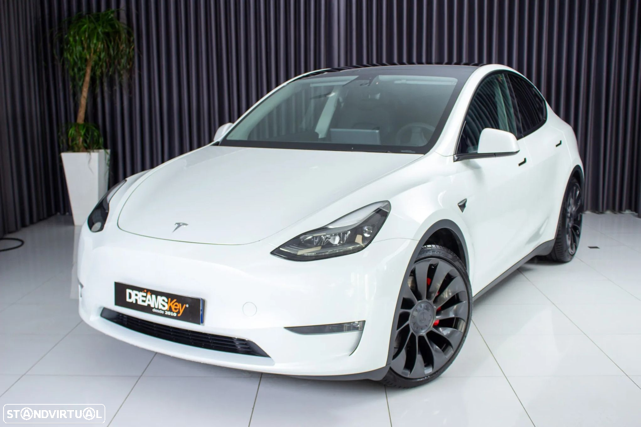 Tesla Model Y Performance Dual Motor AWD - 23