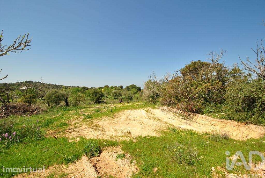 Terreno Agrícola em Paderne - Grande imagem: 4/24