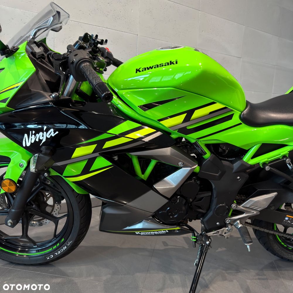 Kawasaki Ninja - 10