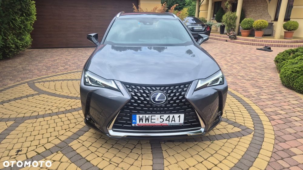 Lexus UX 250h Business Edition - 2