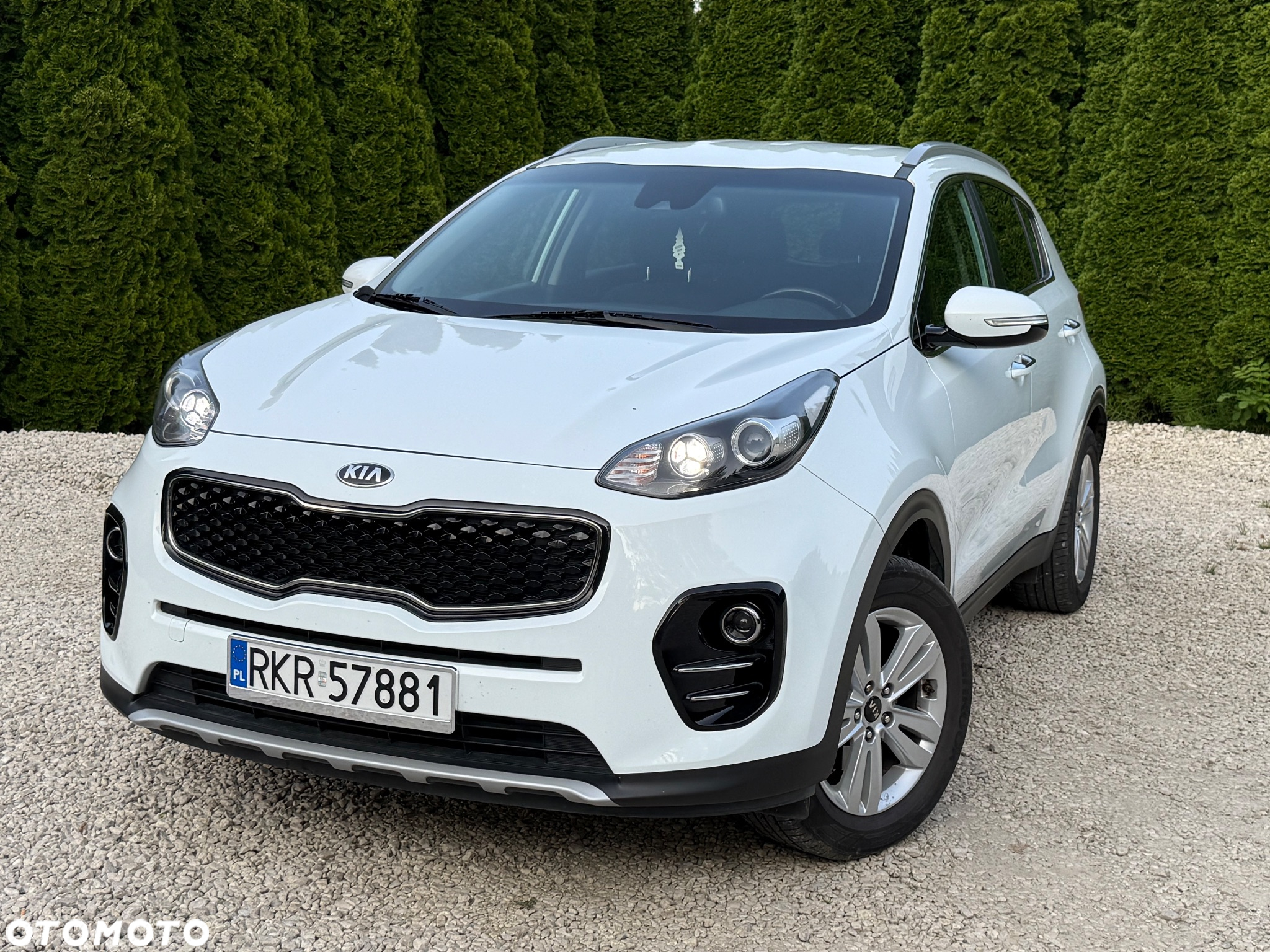 Kia Sportage 1.6 GDI Business Line 2WD - 6
