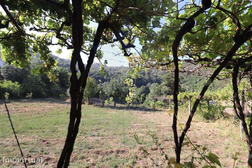 Terreno para Construção de Moradia Individual – Rio Mau, Vila Verde - Grande imagem: 5/10