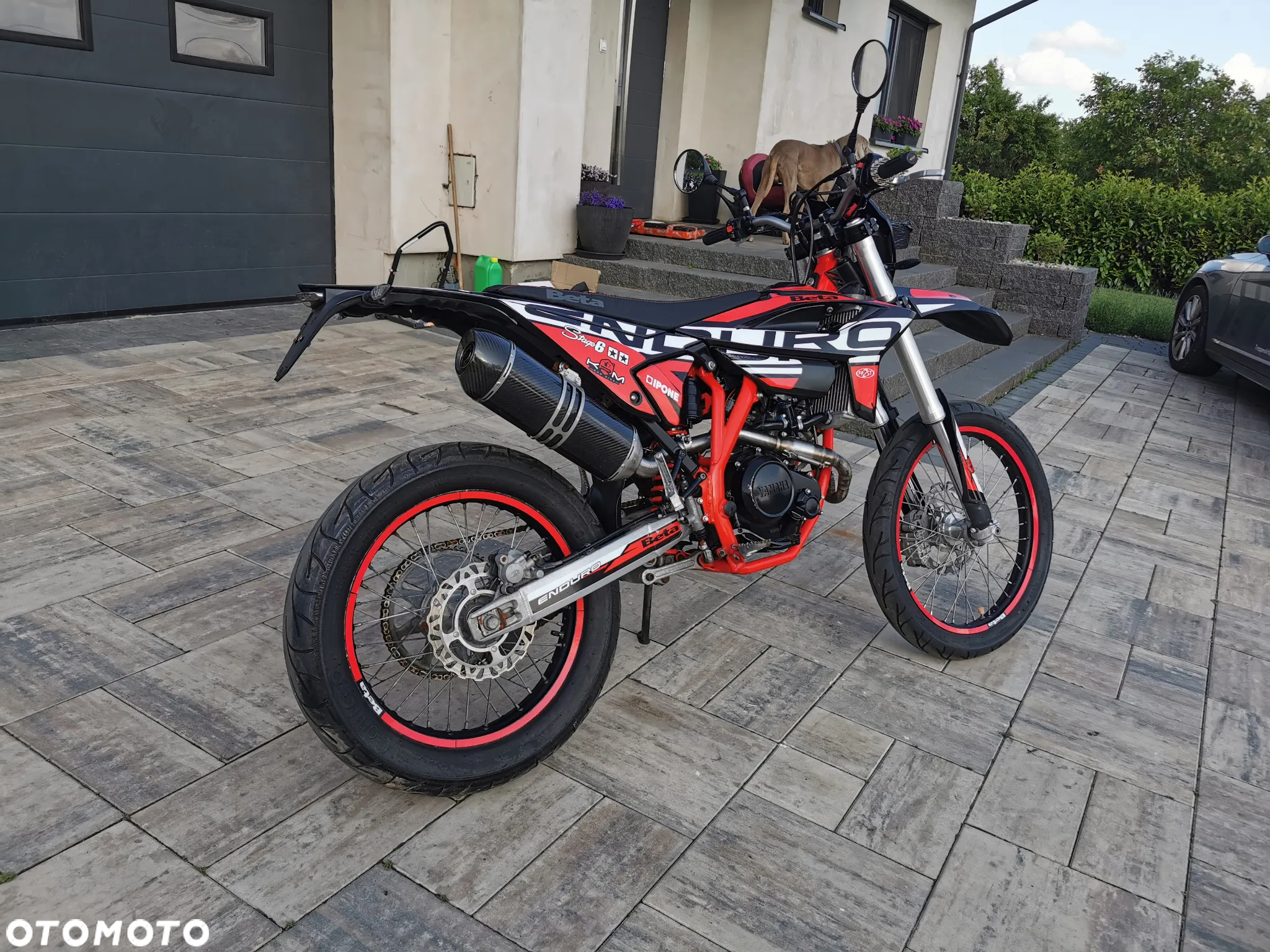 Beta RR