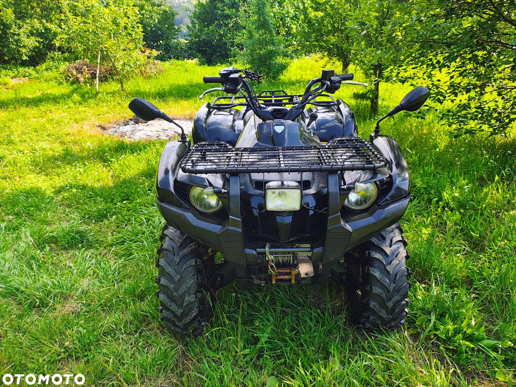 Yamaha Grizzly