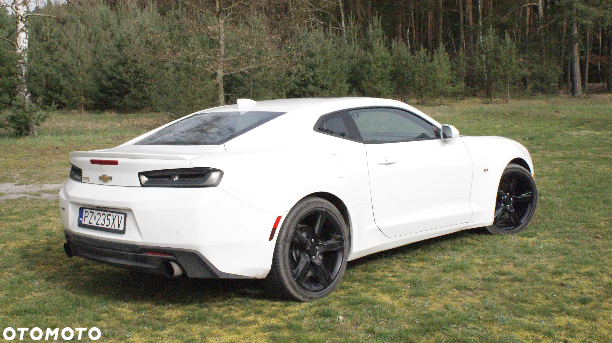 Chevrolet Camaro Coupe 2.0 - 16