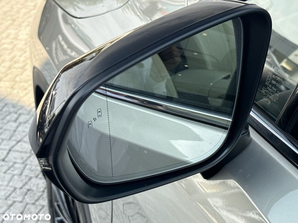 Lexus RX 450h F-Impression - 27
