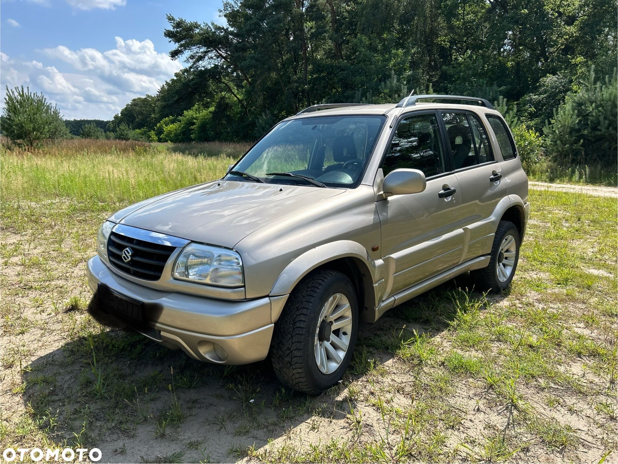 Suzuki Grand Vitara 2.0 - 1