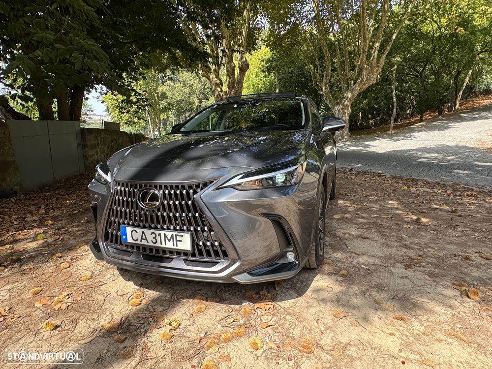 Lexus NX 450h+ Premium - 13