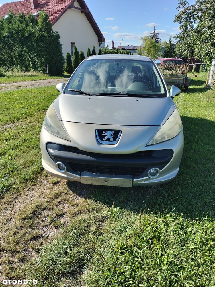 Peugeot 207 - 5
