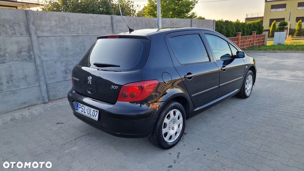 Peugeot 307 - 4