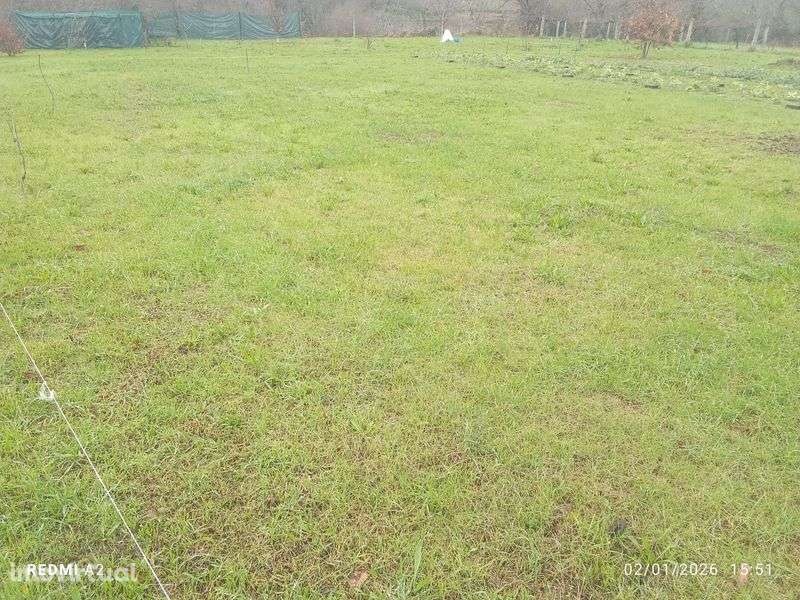 Terreno para cultivo aluguer - Grande imagem: 3/3