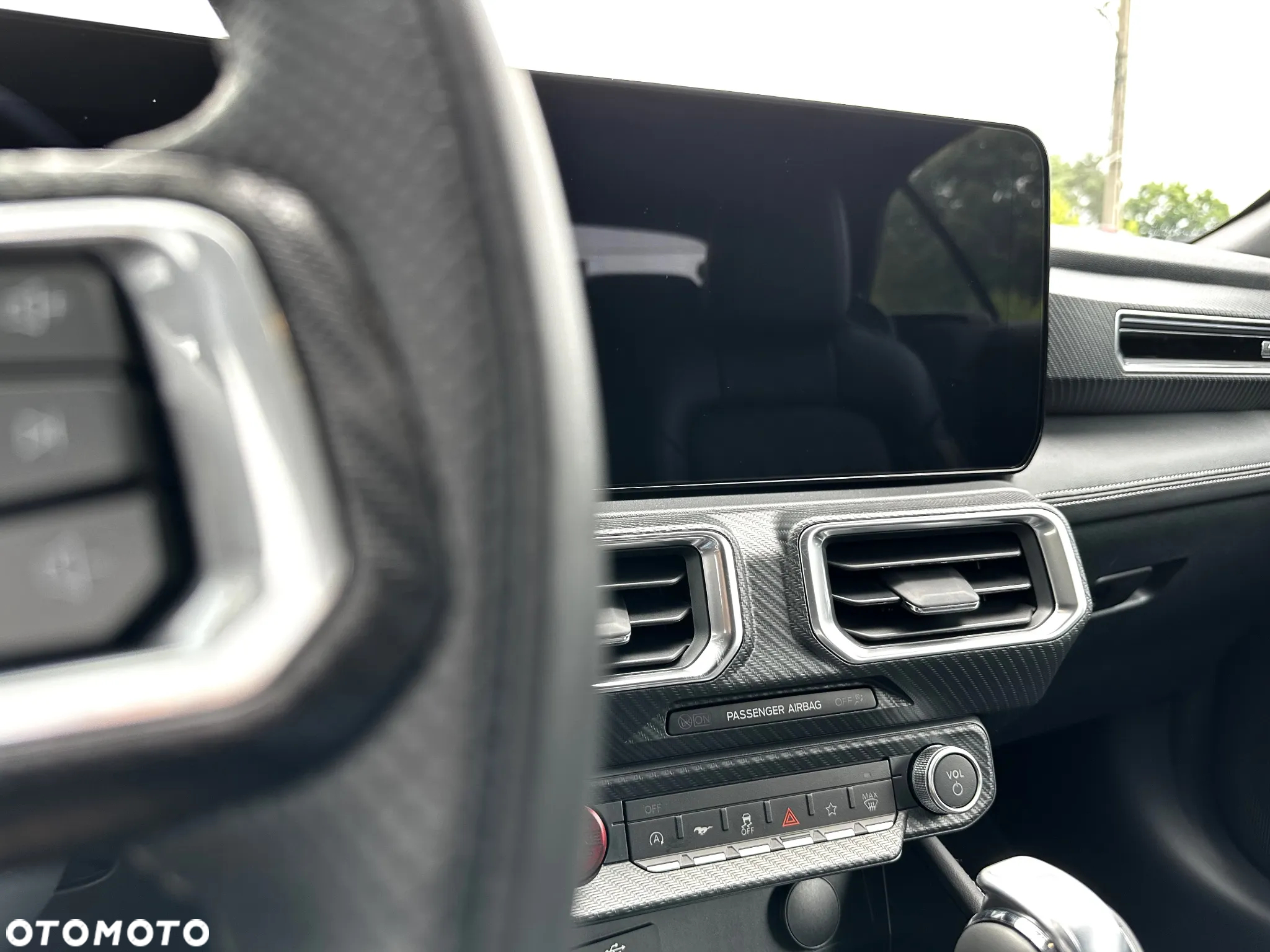 Ford Mustang 5.0 Ti-VCT V8 Dark Horse - 24