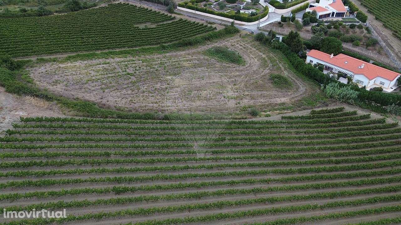 Terreno  para venda - Grande imagem: 3/4