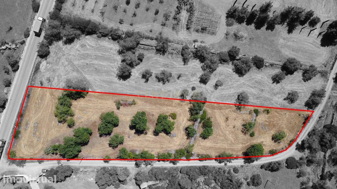 Terreno Rústico com 3.560 m² em Pereiro – Moncarapacho, Olhão - Grande imagem: 2/17