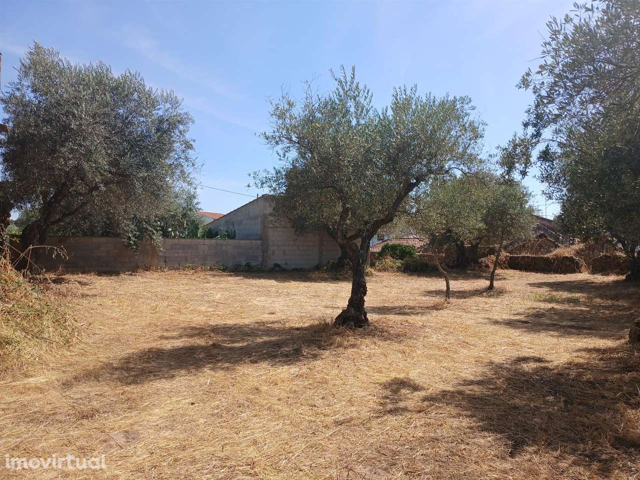 Quintinha - Grande imagem: 2/10